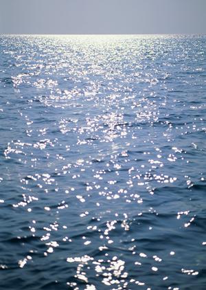 愛知県安城市の便利なビジネスホテル【東横INN三河安城駅新幹線南口1】の詳細ガイド